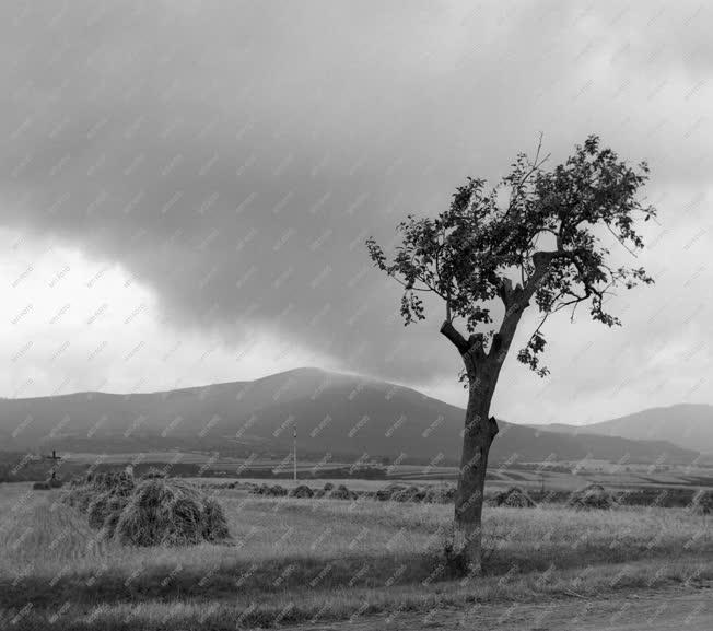 időjárás - Tájkép - Vihar előtt a Bükk-hegységnél