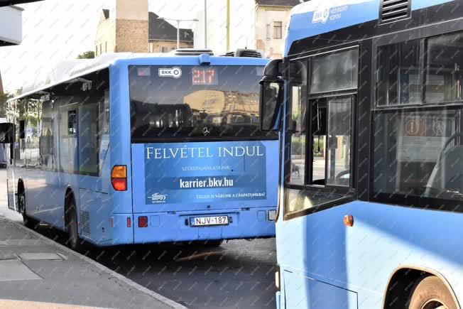 Közlekedés - Budapest - A Budapesti Közlekedési Vállalat hirdetése