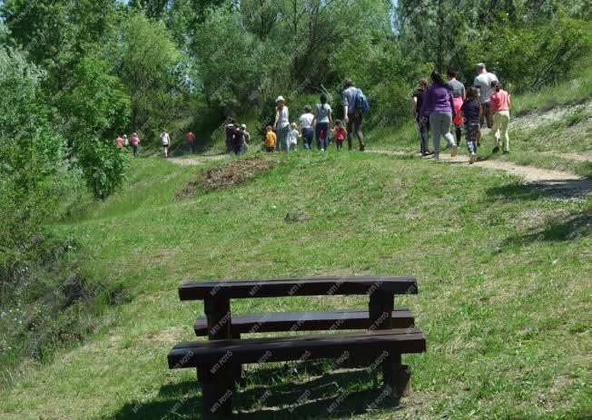 Szabadidő - Várpalota - Gyermeknapi kirándulás a természetbe