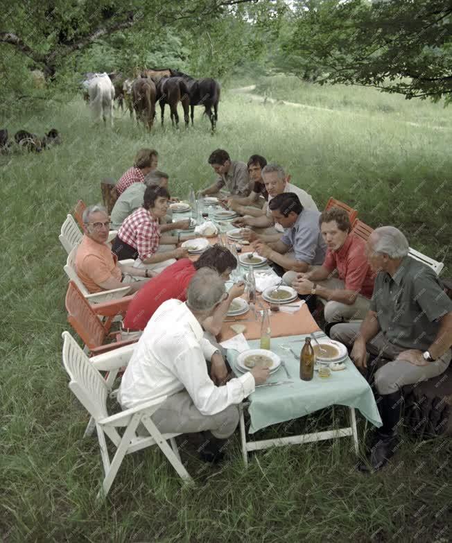 Életkép - Természet - Lovastúra résztvevői Tatán