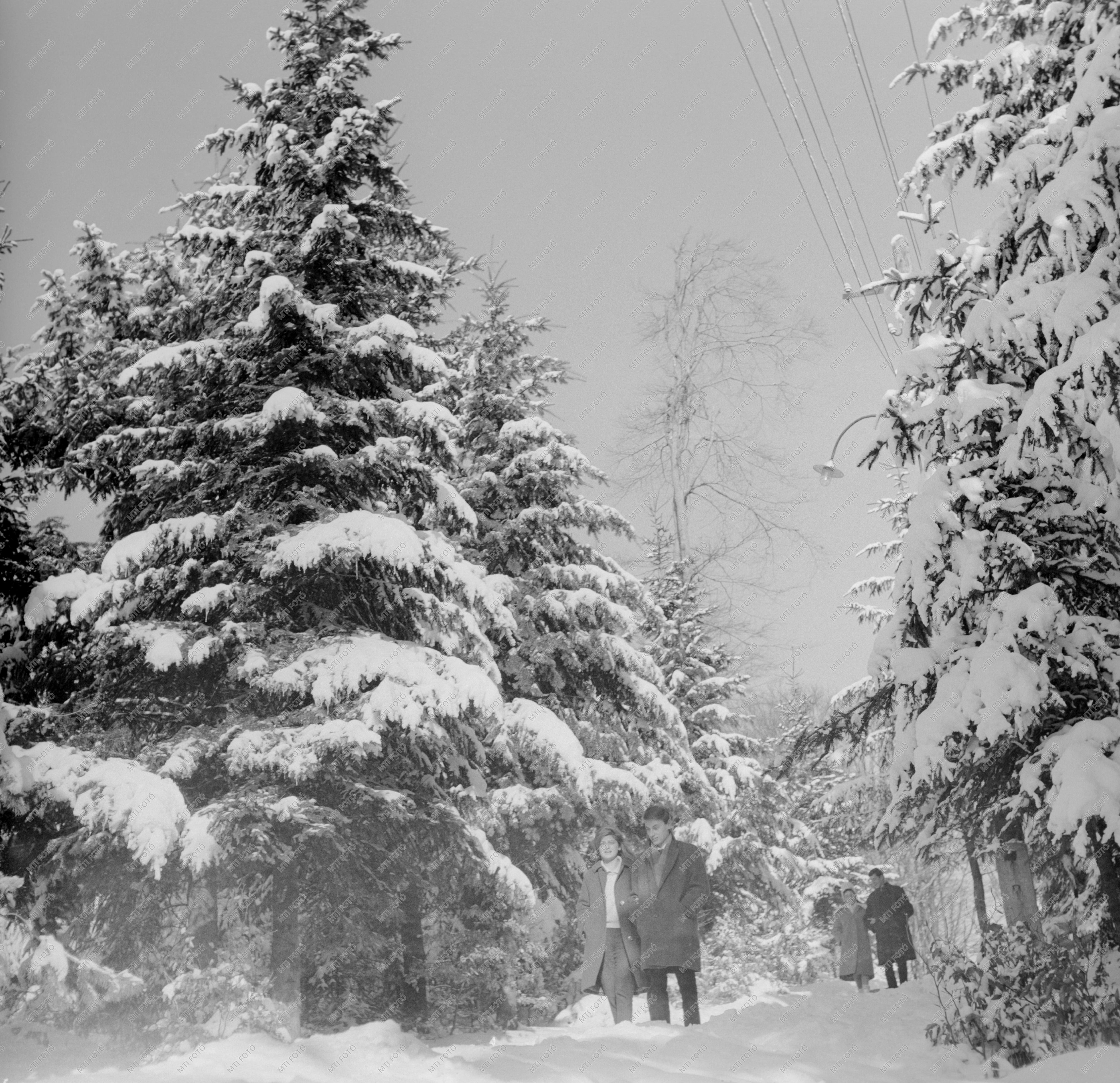 Szabadidő - Sétálók a téli mátrai erdőben