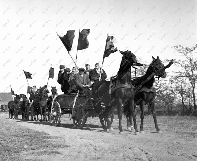 Belpolitika - Tanácsválasztás vidéken 1950-ben