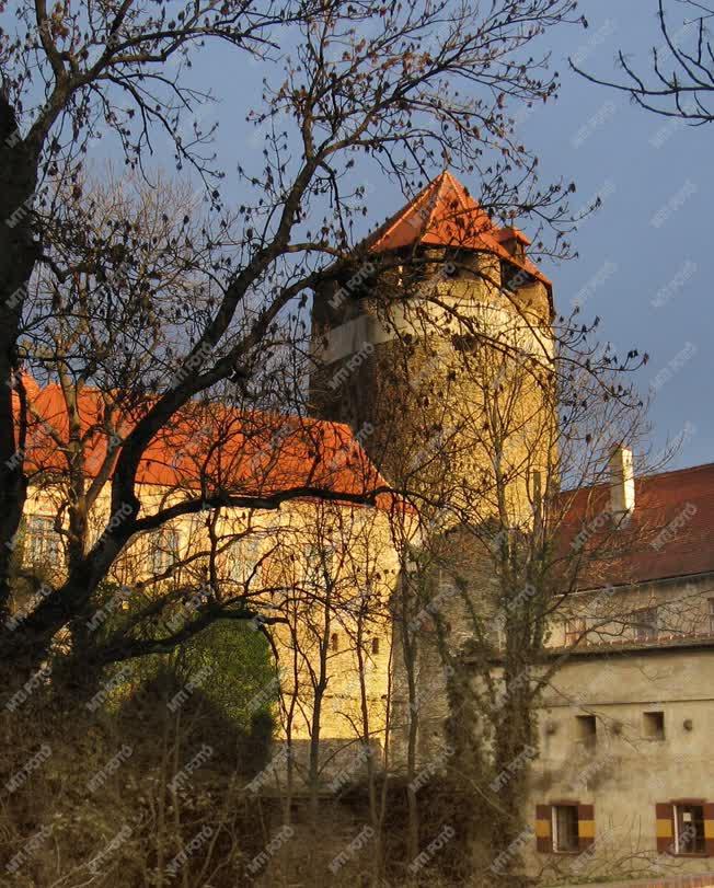 Ausztria - Burgenland - Városszalónak - Középkori vár