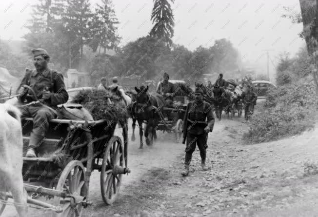 Történelem - II. világháború - Menekülő magyar csapatok