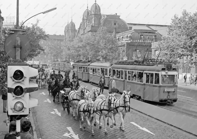Közlekedés - Érdekesség - Ötös lófogatok a fővárosi utcán