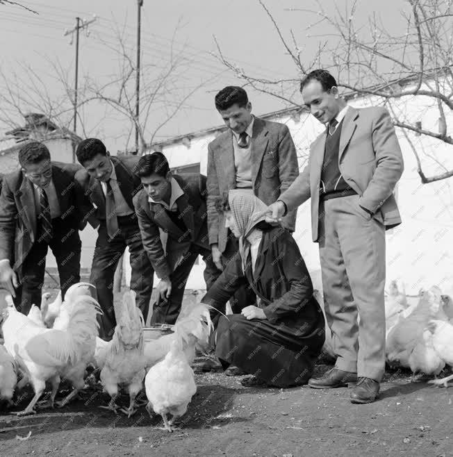 Oktatás - Mezőgazdaság - Arab agrárfőiskolai hallgatók