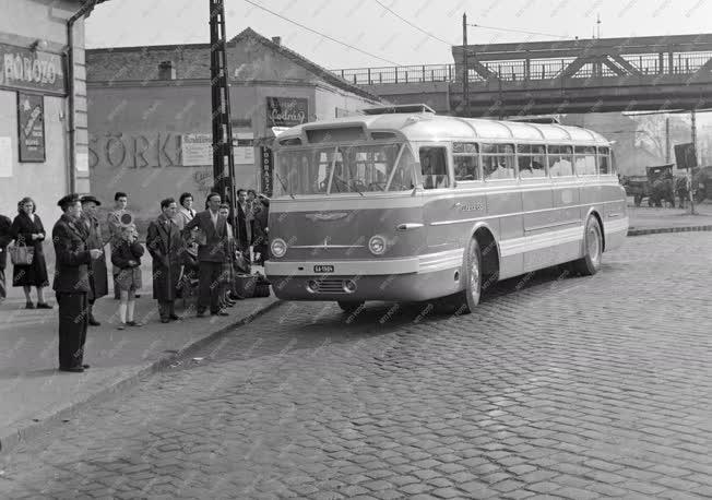 Közlekedés - Új Ikarus 66-os autóbuszok
