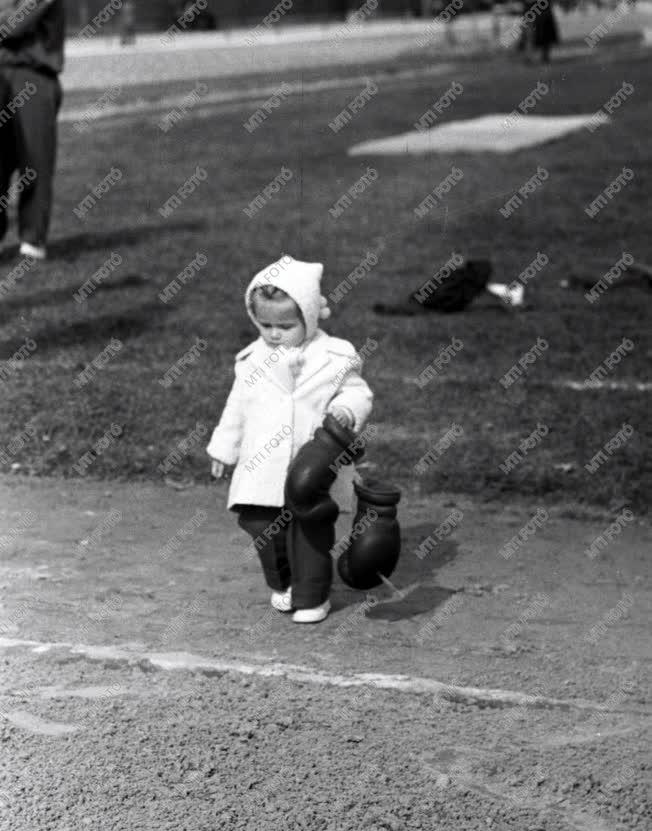 Sport - Tanévnyitó sportünnepség