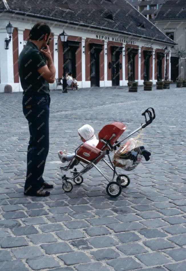 Városkép - Vendéglátás - A Sipos Halászkert Óbudán