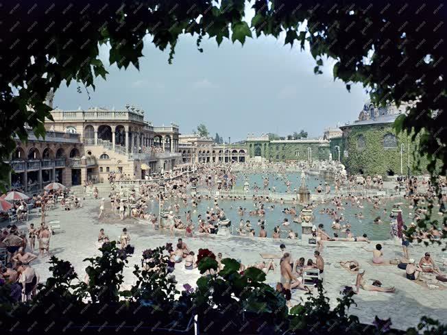 Szabadidő - Budapest - Széchenyi Gyógyfürdő 