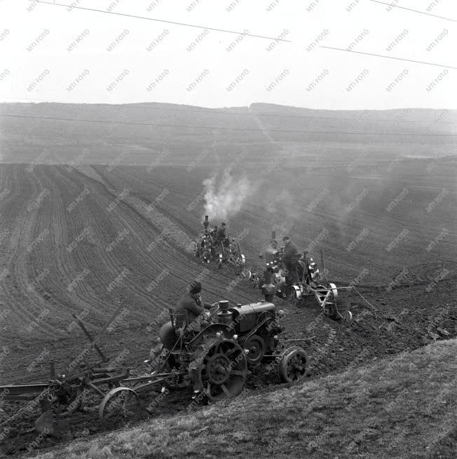 Mezőgazdaság - Tavaszi munkák