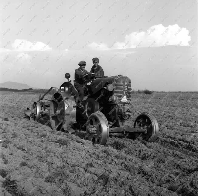 Mezőgazdaság - Termelőszövetkezet - Kerta