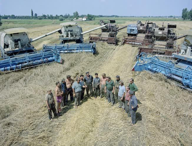 Mezőgazdaság - Arató szocialista brigád