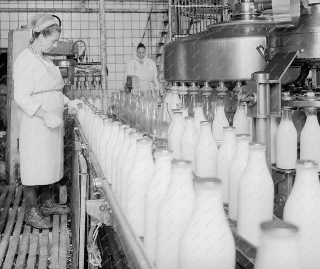 Ipar - Új technológia a tejpalackozásban