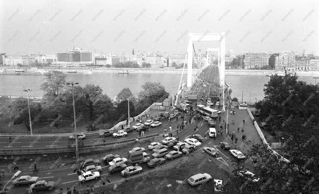Demonstráció - Taxisblokád - Erzsébet híd