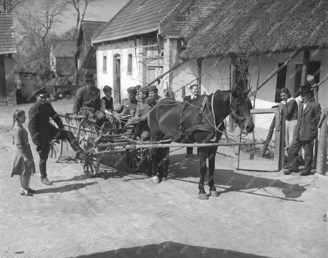 Baleset - Vészelhárítás - Gerjen