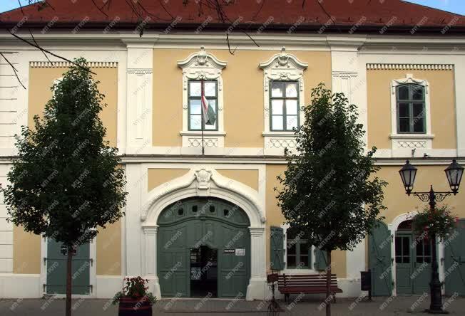 Kultúra - Tokaj - A városi múzeum épülete