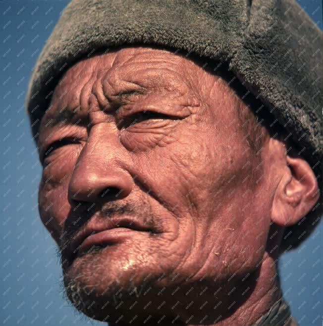 Életkép - Személy - Mongol állattenyésztő