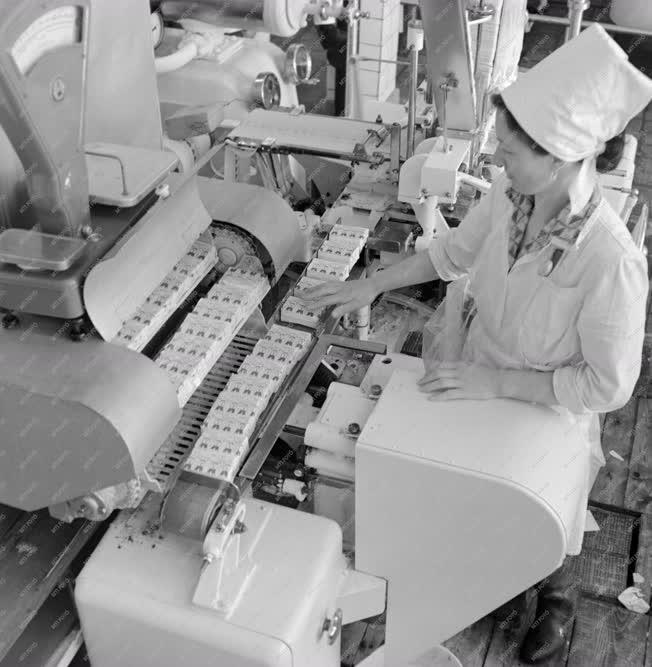 Ipar - Kockafagyit gyárt a szovjet gépsor