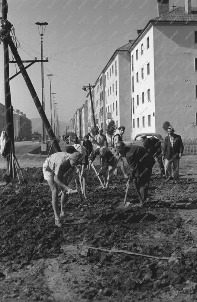 Életkép - Tereprendezés a kazincbarcikai lakótelepen