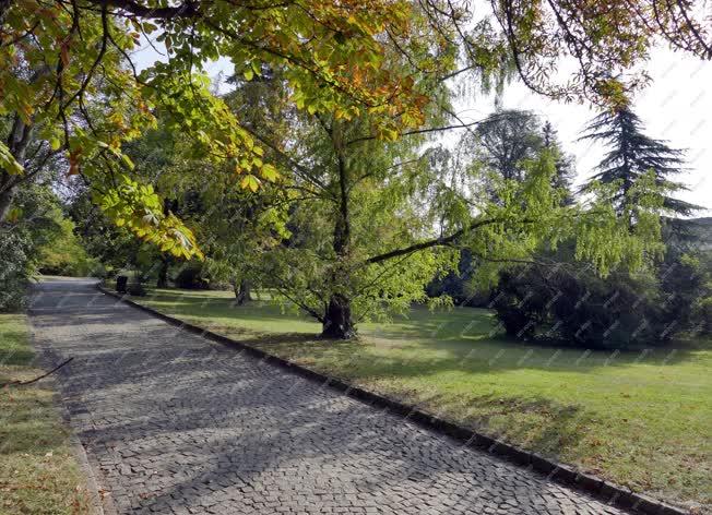 Természet - Budapest - Az őszülő Budai Arborétum