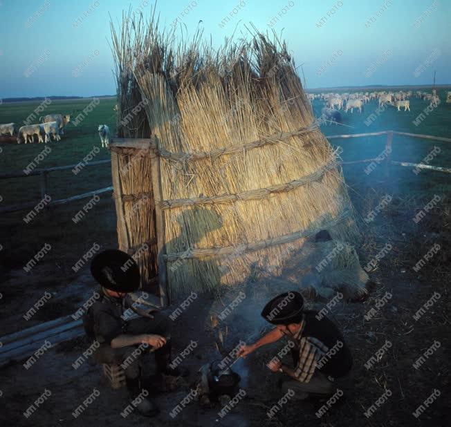 A szerző válogatása - Hortobágy