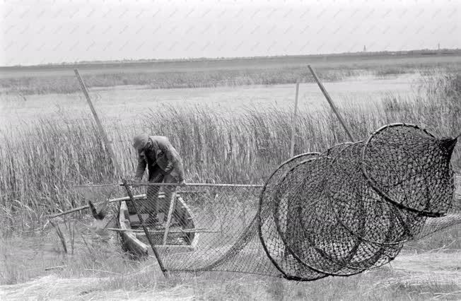 Mezőgazdaság - Halászat