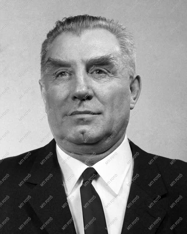 1970-es Állami-díjasok - Borovszky Ambrus