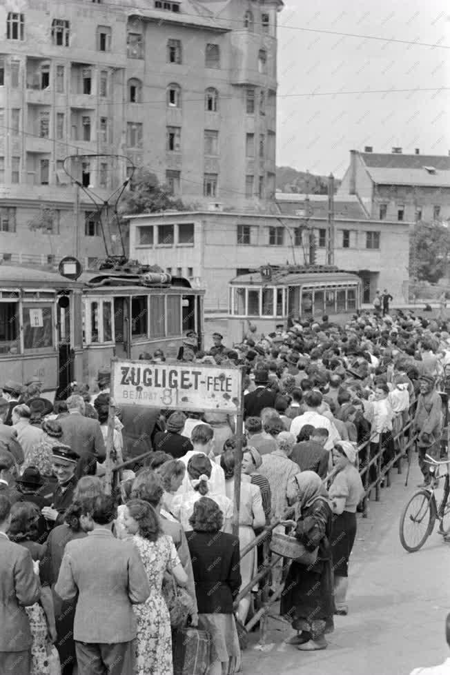 Ünnep - Kirándulás - Pünkösd a hűvösvölgyi nagyréten