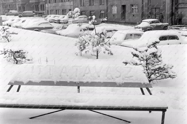 Városkép-életkép - Időjárás - A havas Mechwart liget