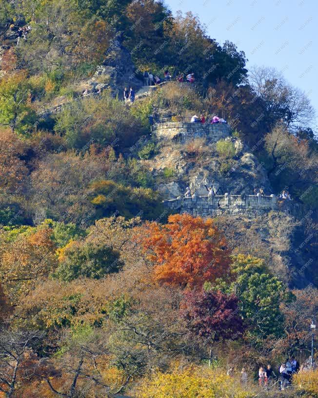 Természet - Budapest - Ősz a Gellért-hegyen