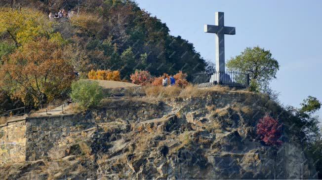 Természet - Budapest - Ősz a Gellért-hegyen