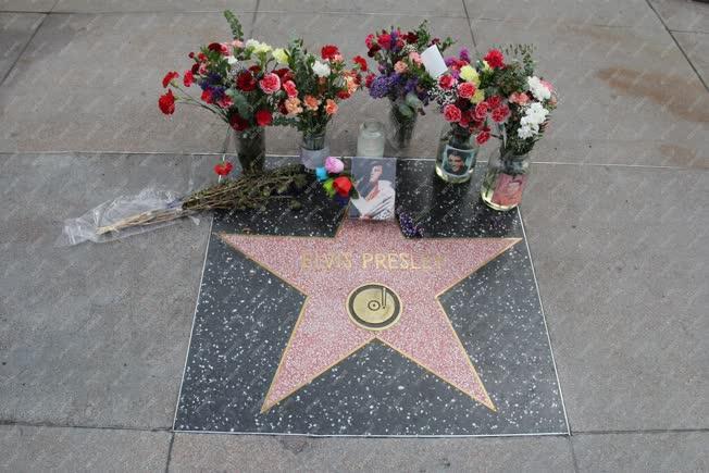Könnyűzene - Elvis Presley amerikai énekes  csillaga