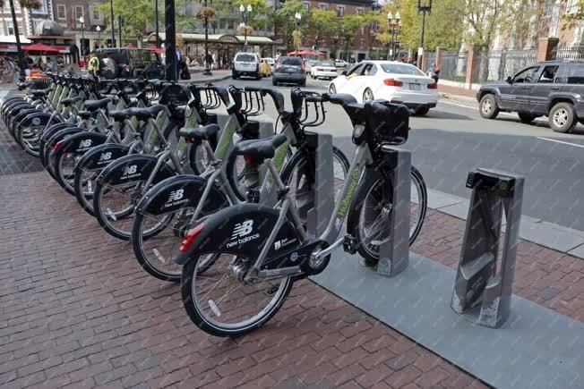Városkép - Boston - Bérelhető kerékpár