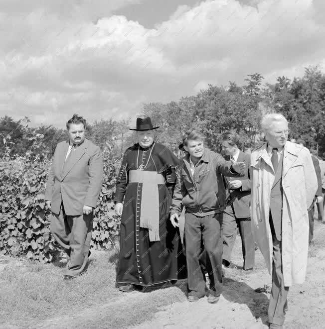 Mezőgazdaság - Egyházi látogatás a gazdaságokban