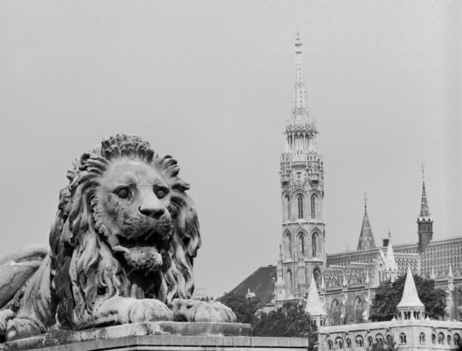 Városkép-életkép - A lánchídi oroszlán és a Mátyás templom