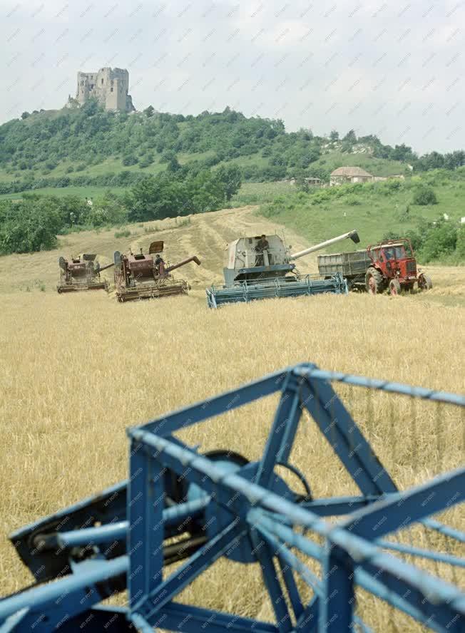 Mezőgazdaság - Aratnak Cseszneken