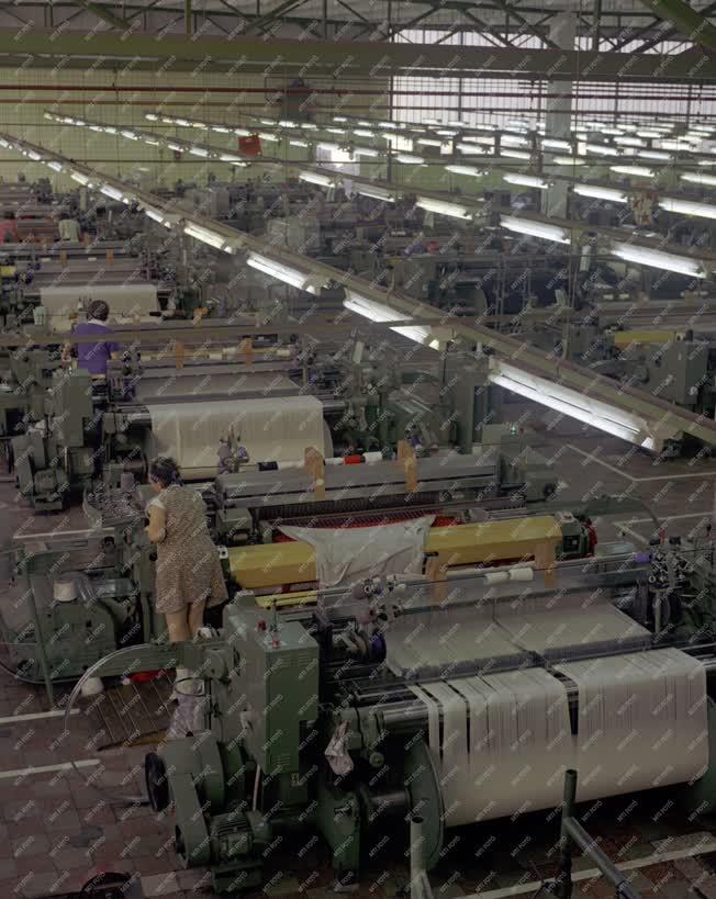 Ipar - Textilipar - A bajai Finomposztó Vállalat üzemében