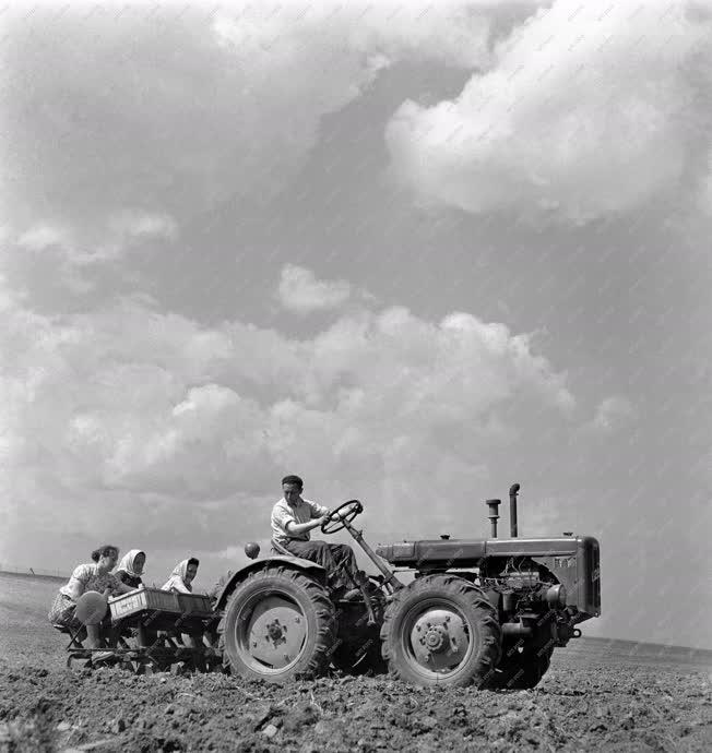 Mezőgazdaság - Tavaszi munka a termőföldön