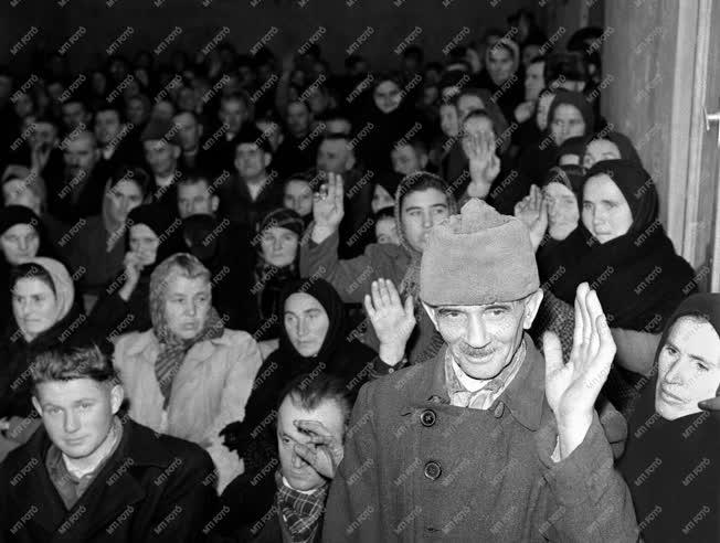 Mezőgazdaság - Termelőszövetkezet alakul Hévízgyörkön