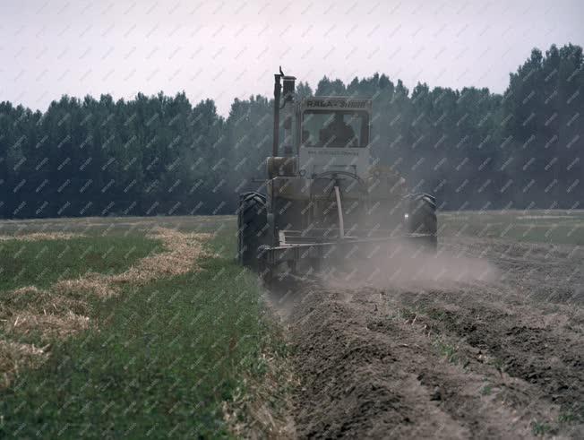 Mezőgazdaság - Ipar - Rába-Steiger traktor