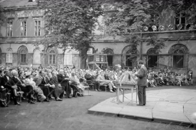 Kultúra - Koncert a Károlyi-kertben