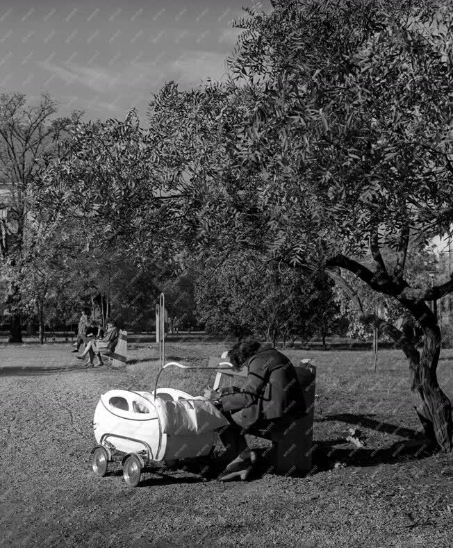 Városkép-életkép - Pihenők egy békéscsabai parkban