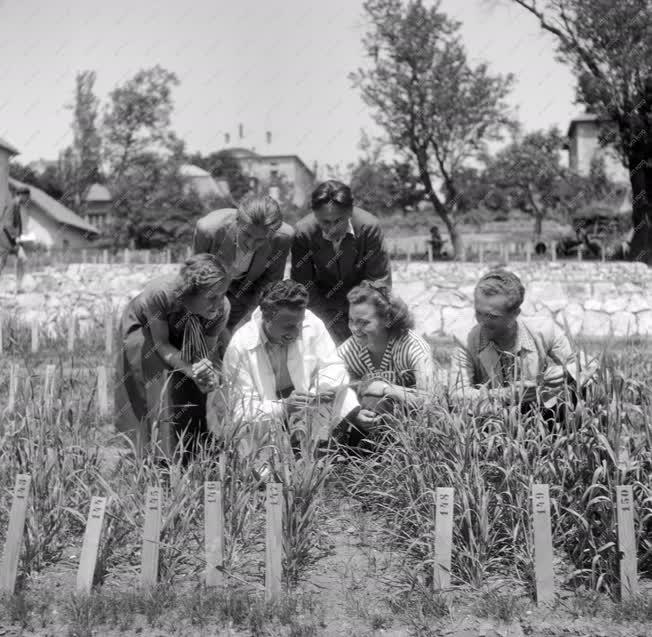 Mezőgazdaság - Magyar Agrártudományi Egyetem