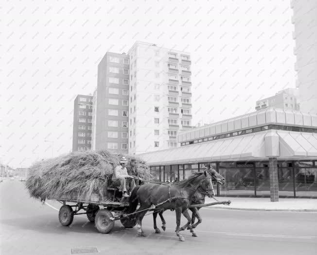 Városkép-életkép - Győri kontraszt