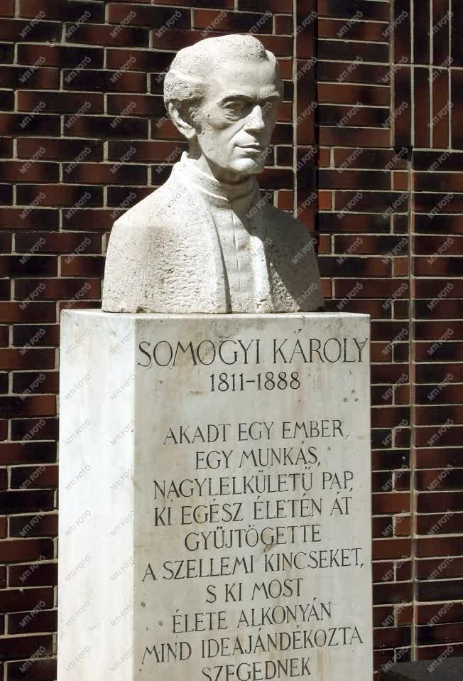Műalkotás - Szeged - Somogyi Károly szobra