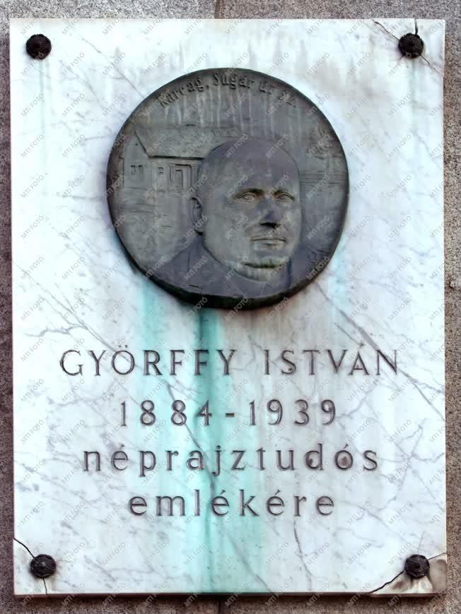 Emléktábla a Kossuth téren - Győrffy István arcképe