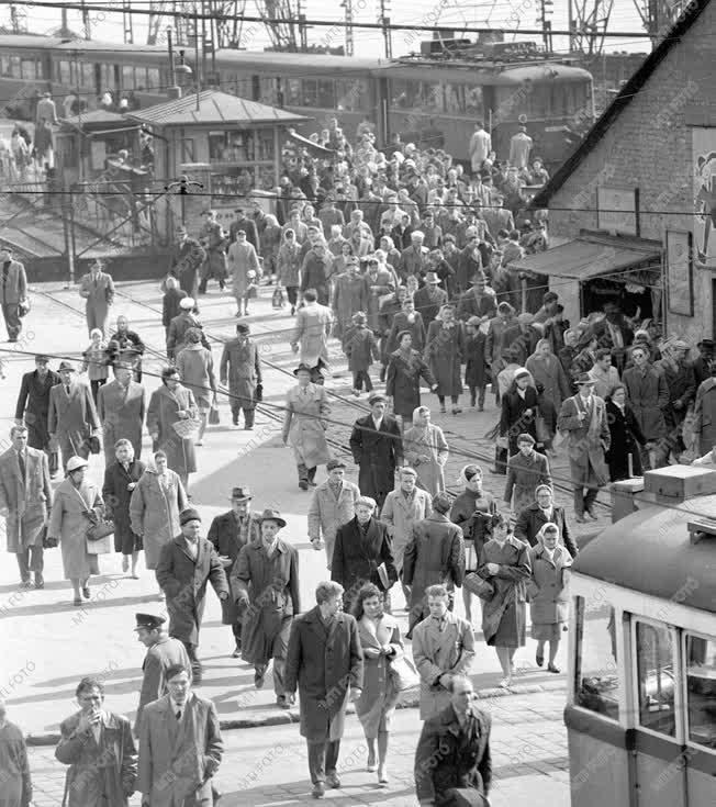 A szerző válogatása - A Boráros tér