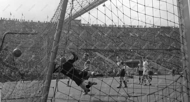 Sport - Labdarúgás - Vörös Lobogó-Bayern