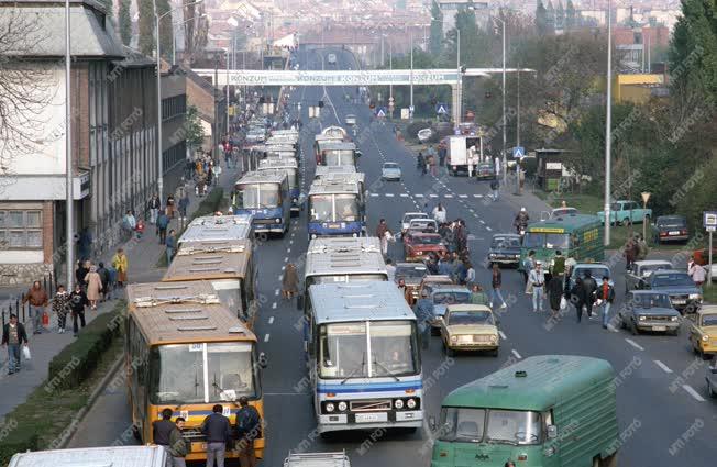 Belpolitika - Taxisblokád